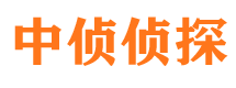 稻城市侦探调查公司